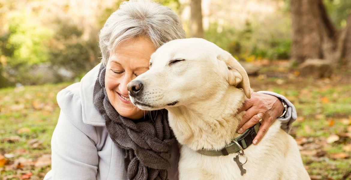 породы собак для пожилых